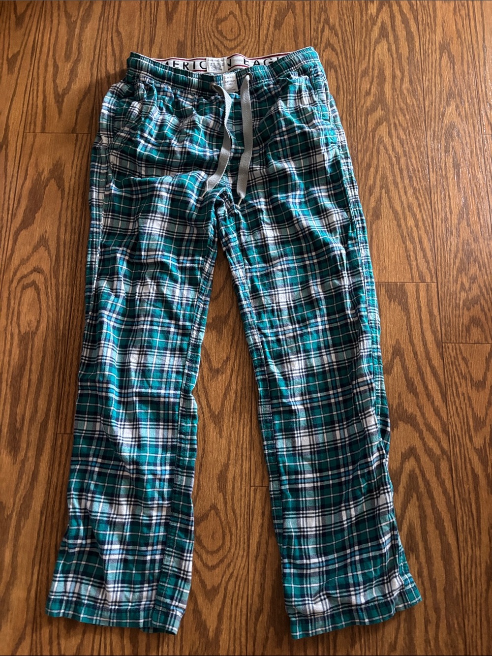 American Eagle Outfitters Teal and White Plaid Men’s Lounge Pants
